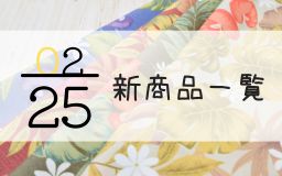 2月25日の新商品一覧