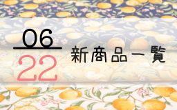 6月22日の新商品一覧