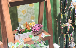 《4月》メインディスプレイが新しくなりました！