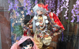 《5月》金襴ディスプレイが新しくなりました！
