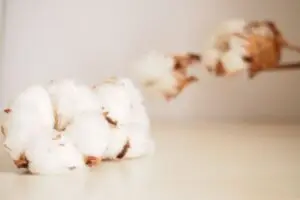 コットン(綿)生地の特徴とお取り扱い