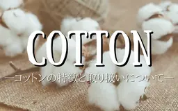 コットンの特徴と取り扱いについて