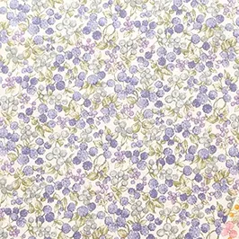 ブロード・ローン・スケア