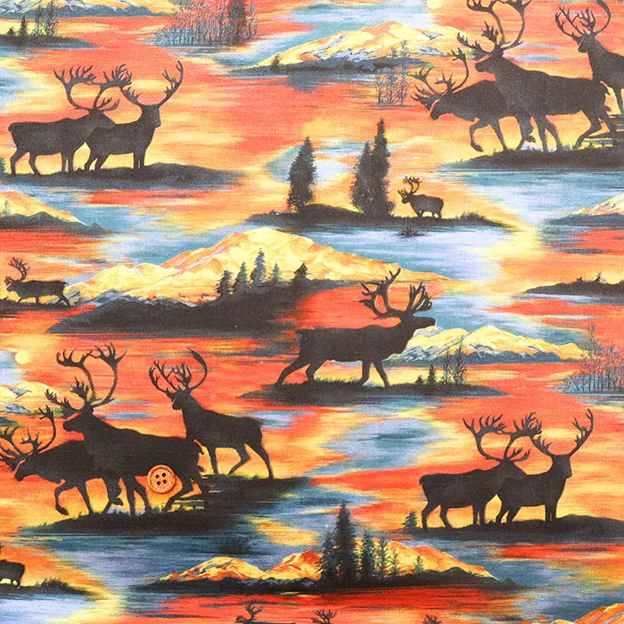 USAコットンプリント生地　moda　Wild Blue Yonder