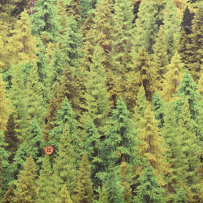 USAコットンプリント生地　TIMELESS TREASURES　FOREST