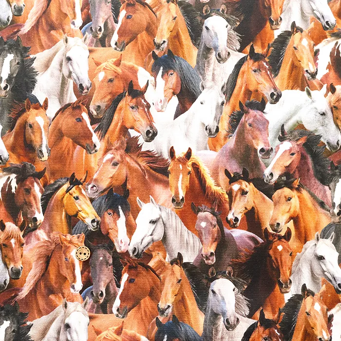 USAコットンプリント生地　TIMELESS TREASURES　Horse