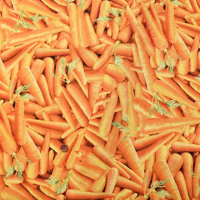 USAコットンインクジェットプリント生地　timeless treasures 　にんじん