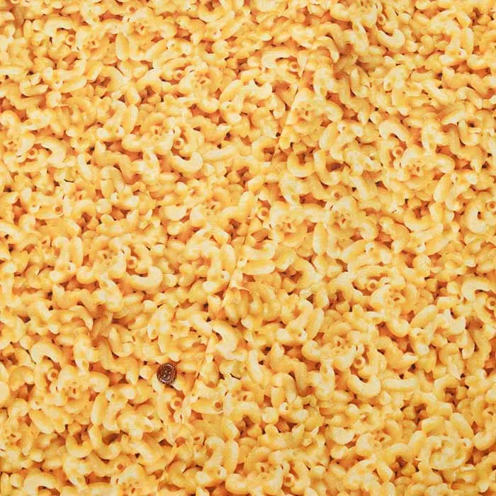 USAコットン　ROBERT KAUFMAN　マカロニ