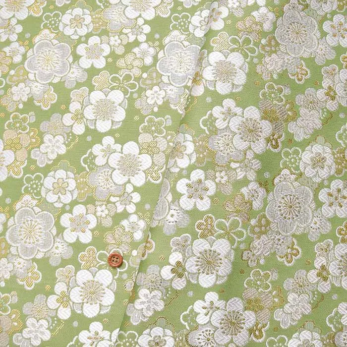 金襴　梅モダン