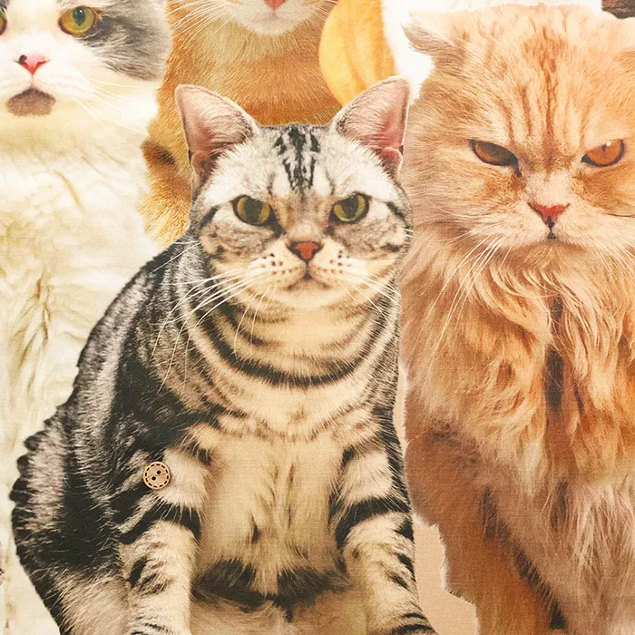 中国製　コットンシーチングインクジェットプリント生地　ねこがいっぱい