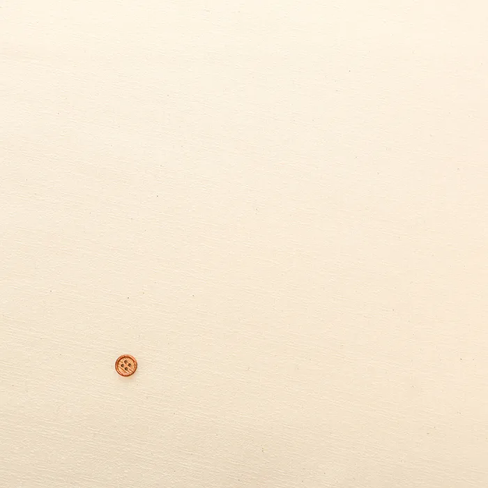 キナリシリーズ　コットンバッキンガム生地