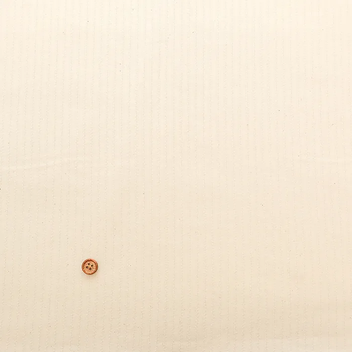 キナリシリーズ　コットンドビーストライプ生地