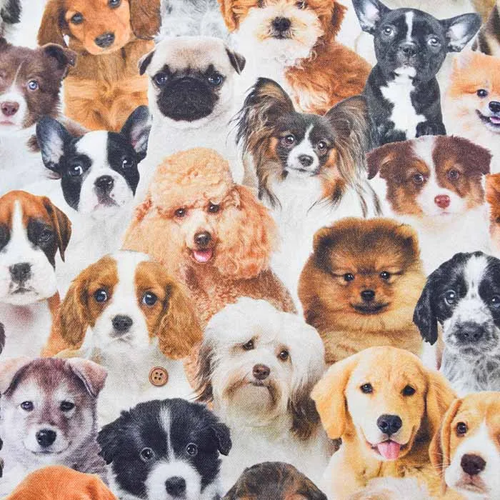 オランダ製　B&B fabric コットンプリント生地　DOG