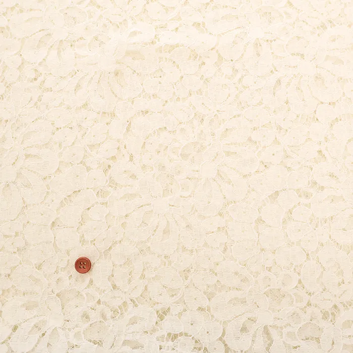 フランス製　リバーレース生地