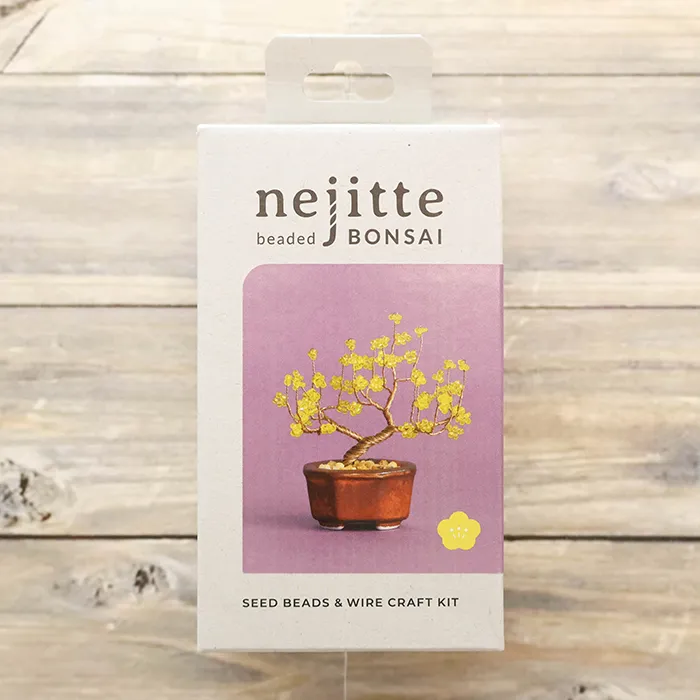 ネジッテBONSAIキット　蝋梅