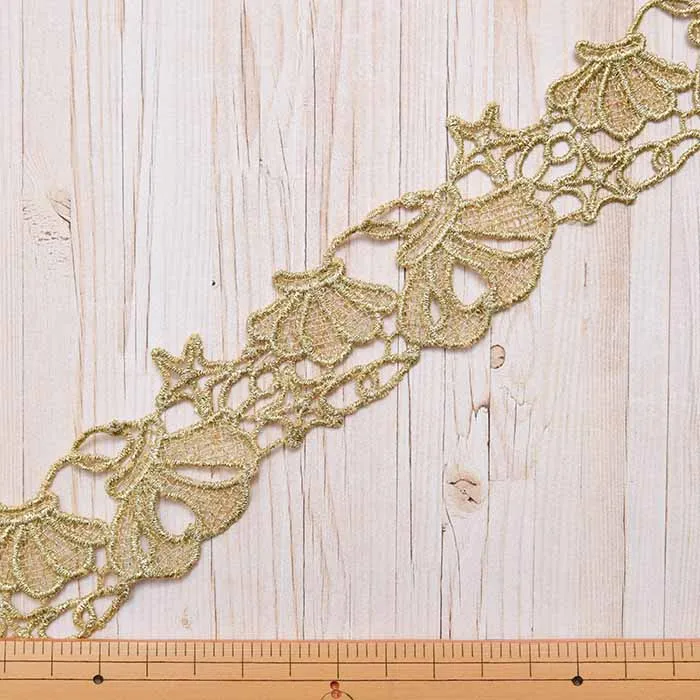 ラメトーション　サンゴ礁　40ｍｍ