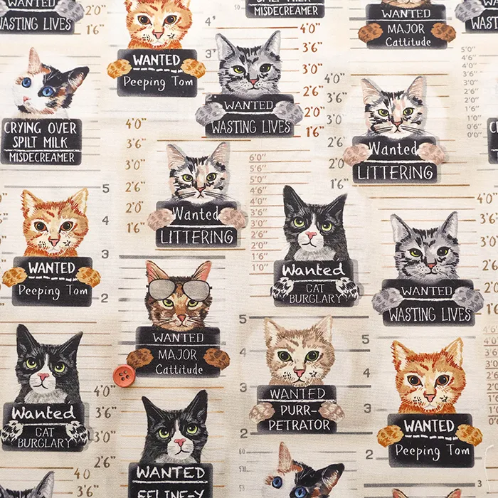 USAコットンプリント生地　TIMELESS TREASURES　WANTED