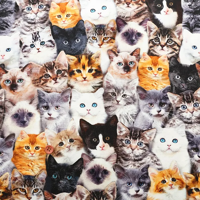 USAコットンプリント生地　TIMELESS TREASURES　Cat's