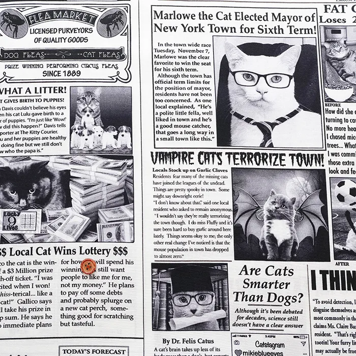 USAコットンプリント生地　TIMELESS TREASURES　News Cat