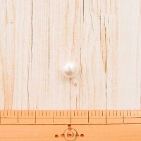 パールボタン(白)　10mm