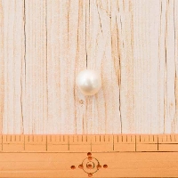 パールボタン(白)　12mm