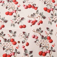 yCMXKAi Cath KidstonzLXLbh\@RbgCgLoXn@Cherry Sprig Red(`F[XvbO bh)