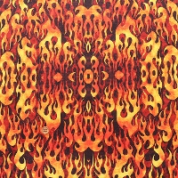 USARbg@QT FABRICKS@Flames@t@C[