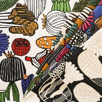 RbgIbNXvgn@Vegetable Art