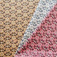C^A@Liberty Fabrics 2025A/W TANA LAWN Macsen