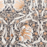 XyC@AS Fabrics@|GXeWK[hn@MORRIS@Pimpernel