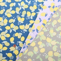 nina@RbgIbNXvgn@Sitruuna