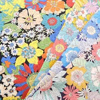 Liberty Fabrics@2026 S/S FLORAL REBELLION@Summers in the sun