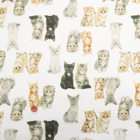 @H@|GXeIbNXvgn@lR(1-036-hs2282-2)