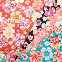 �R�b�g���G���{�X�v�����g���n�@�a���@��