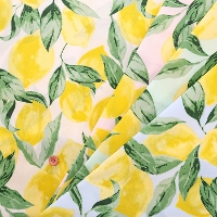 �������H�@�i�C�����v�����g���n�@������