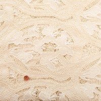 �R�b�g�����[�����[�X���n