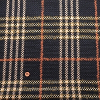 ���X�^�[�E�[���`�F�b�N���n�@