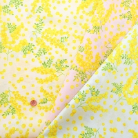 �������H�@�i�C�����v�����g���n�@�~���U