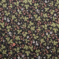 �y���Z�Z�[���z�R�b�g���X�P�A�v�����g���n�@�t�����[