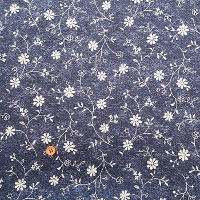 �y���Z�Z�[���z�R�b�g���V�[�`���O�v�����g���n�@�u���[�t�����[