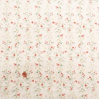 �y���Z�Z�[���z�R�b�g���u���[�h�v�����g���n�@�J�m��