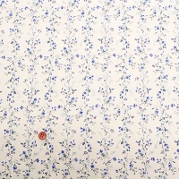 �y���Z�Z�[���z�R�b�g���u���[�h�v�����g���n�@�J�m��