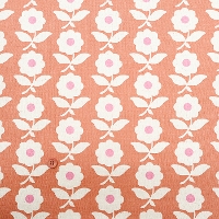 �y���Z�Z�[���zC/L�L�����o�X�v�����g���n�@�t�����[