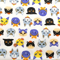 �y���Z�Z�[���z�R�b�g���I�b�N�X�v�����g���n�@�l�R