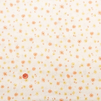 �y���Z�Z�[���z�R�b�g���_�u���K�[�[�v�����g���n�@�t�����[