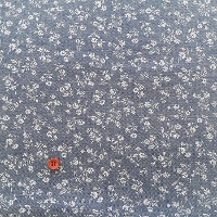 �y���Z�Z�[���z�R�b�g���_���K���[�v�����g���n�@�t�����[