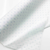 �y���Z�Z�[���z�R�b�g���v�����g���n�@�h�b�g