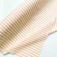 �y���Z�Z�[���z�R�b�g���v�����g���n�@�X�g���C�v