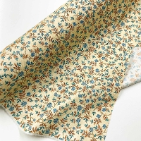 �y���Z�Z�[���zUSA�R�b�g���v�����g���n�@�t�����[