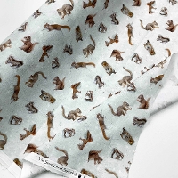 �y���Z�Z�[���zUSA�R�b�g���v�����g���n�@��ƃ��X